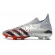 adidas Predator Freak.1 FG Scarpa Argento Metallico Nero Core Scarlatto