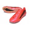 Scarpe adidas F50 Hyperfast FG Nuovo Solar Turbo Nero Core Oro Metallicoo