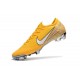 Scarpe Coppa del Mondo 2018 Nike Mercurial Vapor XII FG -