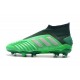 Scarpe da Calcio adidas Predator 19+ FG - Verde Argento